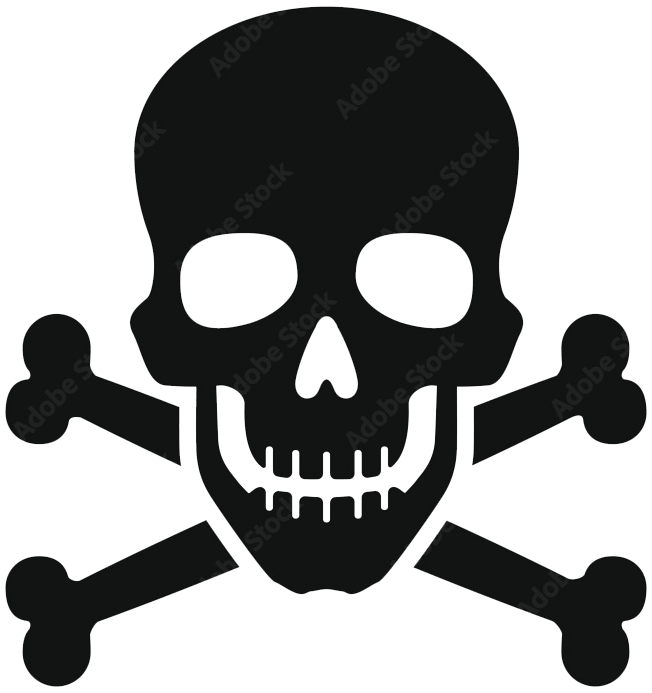 Skull And Bones The Movie